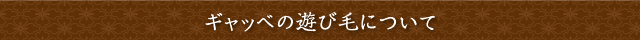 ギャッベの遊び毛について